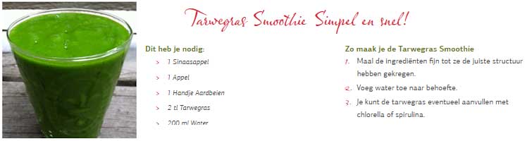 groene smoothies recepten